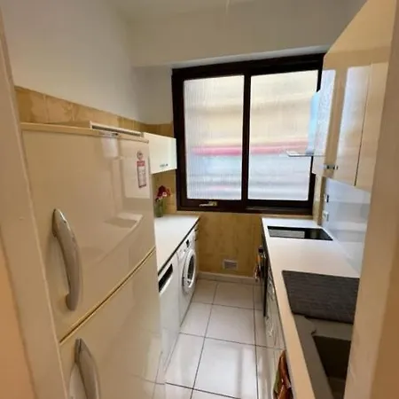 Jardin Sur La Promenade Des * Nizza