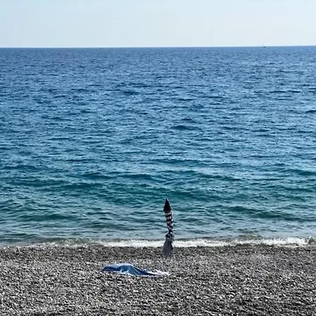 Jardin Sur La Promenade Des
